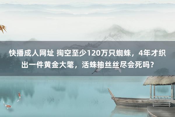快播成人网址 掏空至少120万只蜘蛛，4年才织出一件黄金大氅，活蛛抽丝丝尽会死吗？