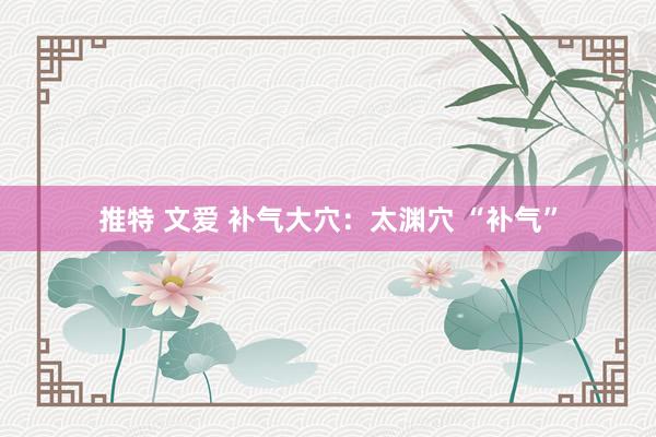 推特 文爱 补气大穴：太渊穴 “补气”
