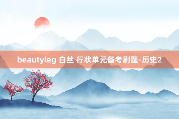 beautyleg 白丝 行状单元备考刷题-历史2