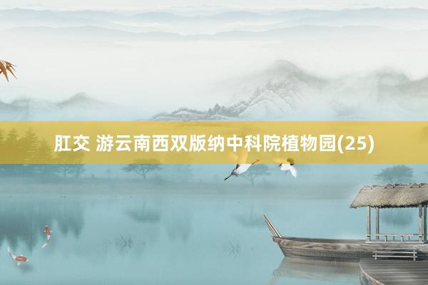 肛交 游云南西双版纳中科院植物园(25)