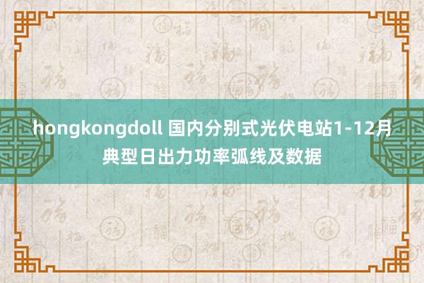 hongkongdoll 国内分别式光伏电站1-12月典型日出力功率弧线及数据