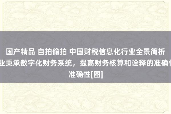 国产精品 自拍偷拍 中国财税信息化行业全景简析：企业秉承数字化财务系统，提高财务核算和诠释的准确性[图]