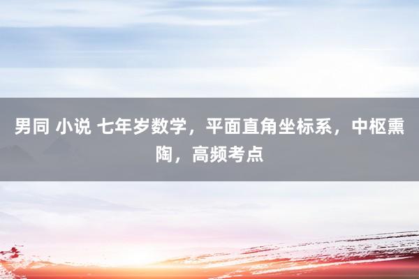 男同 小说 七年岁数学，平面直角坐标系，中枢熏陶，高频考点
